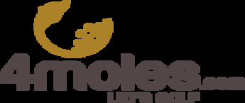 Digital Marketing Company for Sports Website Ads, 4moles Ads,Digital Advertising,Online Marketing in India,Online Promotion,Digital Ad Agency