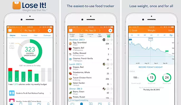 Healthy lifestyle apps,App branding