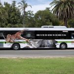 High-Recall Bus Advertising